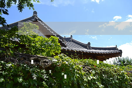 網(wǎng)貸低于三千逾期未還會不會坐牢-網(wǎng)貸低于三千逾期未還會不會坐牢呢