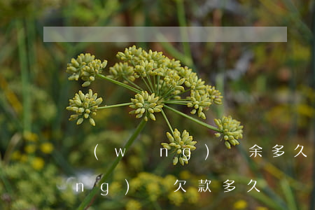 網(wǎng)貸余多久會被起訴(網(wǎng)貸欠款多久)