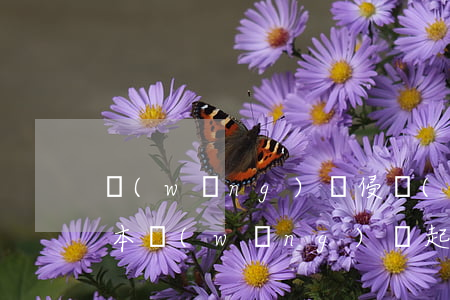 網(wǎng)貸侵權(quán)起訴樣本(網(wǎng)貸起訴狀范本)