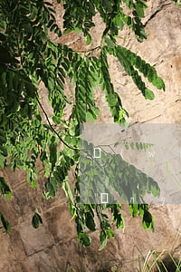 網(wǎng)貸侵犯隱私向誰起訴（網(wǎng)貸侵犯隱私向誰起訴）