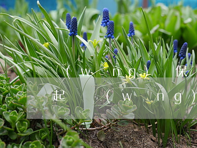 網(wǎng)貸保險(xiǎn)代償后起訴(網(wǎng)貸保險(xiǎn)代償后起訴怎么辦)