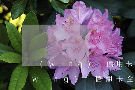 網(wǎng)貸信用卡3月全面逾期(網(wǎng)貸信用卡全面逾期我該怎么辦)