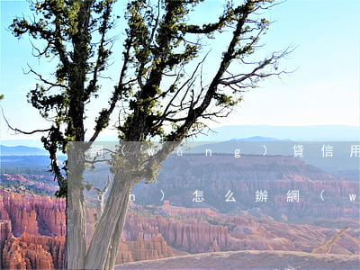 網(wǎng)貸信用卡一共欠15萬(wàn)怎么辦(網(wǎng)貸欠款15萬(wàn)怎么辦)