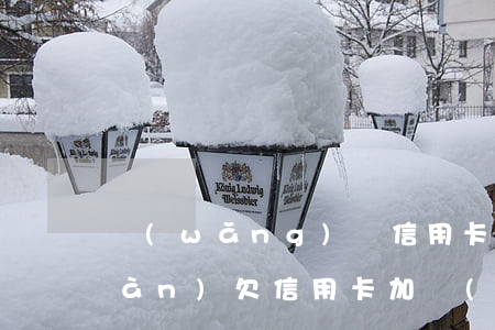 網(wǎng)貸信用卡一共欠48萬(wàn)(欠信用卡加網(wǎng)貸總共三十萬(wàn))