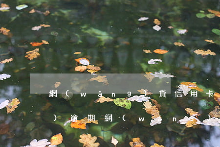 網(wǎng)貸信用卡二十多萬(wàn)逾期(網(wǎng)貸加信用卡欠了15萬(wàn))