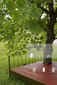 網(wǎng)貸信用卡京東花唄全面逾期(京東金融逾期上征信嗎?花唄逾期有什么后果)