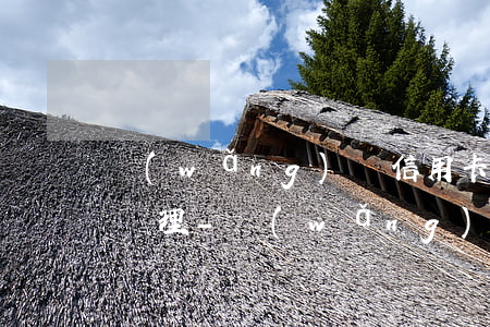 網(wǎng)貸信用卡全部逾期了該怎么處理-網(wǎng)貸信用卡全部逾期了該怎么處理呢