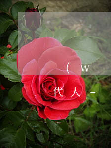 網(wǎng)貸信用卡全部逾期會影響幾代人-網(wǎng)貸信用卡全部逾期會影響幾代人嗎