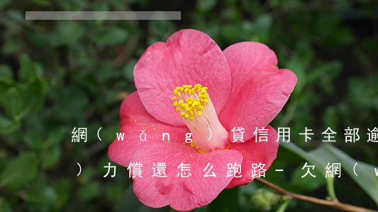 網(wǎng)貸信用卡全部逾期無(wú)力償還怎么跑路-欠網(wǎng)貸信用卡無(wú)力償還