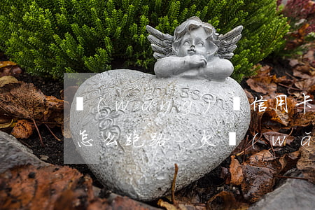 網(wǎng)貸信用卡全部逾期無力償還怎么跑路-欠網(wǎng)貸信用卡無力償還