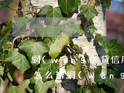 網(wǎng)貸信用卡全部逾期無力償還怎么辦(網(wǎng)貸信用卡全部逾期無力償還怎么辦南通)