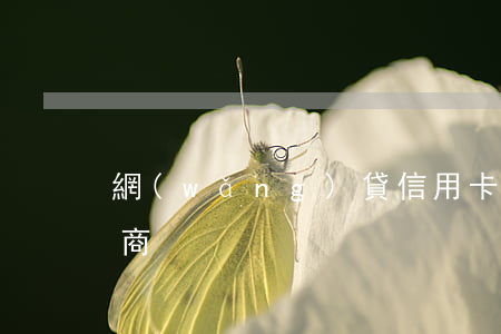 網(wǎng)貸信用卡分期協(xié)商