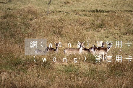 網(wǎng)貸信用卡協(xié)商(網(wǎng)貸信用卡協(xié)商還款)