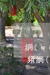 網(wǎng)貸信用卡協(xié)商視頻(網(wǎng)貸信用卡協(xié)商視頻會議)