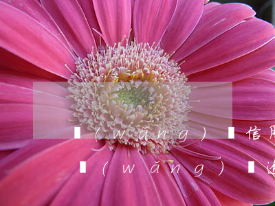 網(wǎng)貸信用卡可以逾期一個月嗎(網(wǎng)貸逾期一個月嚴(yán)重嗎)