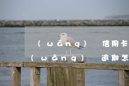 網(wǎng)貸信用卡各種逾期怎么辦(網(wǎng)貸逾期怎么辦理信用卡)