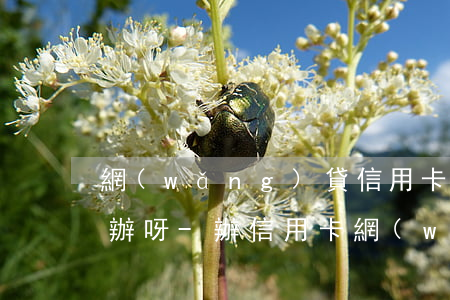 網(wǎng)貸信用卡房貸全逾期了怎么辦呀-辦信用卡網(wǎng)貸逾期了可以過得了么