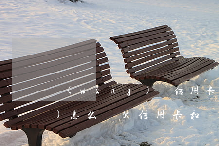網(wǎng)貸信用卡欠12萬(wàn)怎么辦(欠信用卡和網(wǎng)貸三十多萬(wàn)還不上怎么辦)