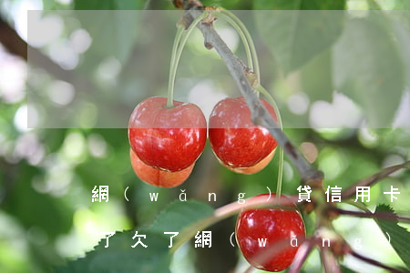 網(wǎng)貸信用卡欠20多萬死了算了(欠了網(wǎng)貸信用卡30萬走投無路)