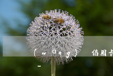 網(wǎng)貸信用卡欠30萬我該怎么辦-