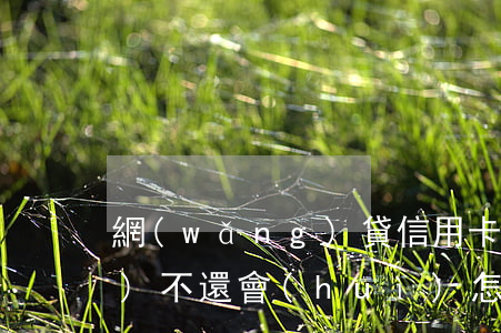 網(wǎng)貸信用卡欠40萬(wàn)不還會(huì)怎么樣-網(wǎng)貸信用卡欠40萬(wàn)不還會(huì)怎么樣呢