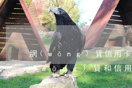 網(wǎng)貸信用卡欠8萬還有救嗎(網(wǎng)貸和信用卡欠了十幾萬,應(yīng)該怎么辦?)