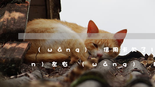 網(wǎng)貸信用卡欠了10萬(wàn)左右(網(wǎng)貸和信用卡欠了十幾萬(wàn),應(yīng)該怎么辦?)