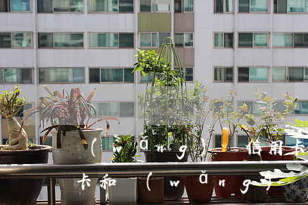 網(wǎng)貸信用卡欠了13萬(欠信用卡和網(wǎng)貸三十多萬還不上怎么辦)