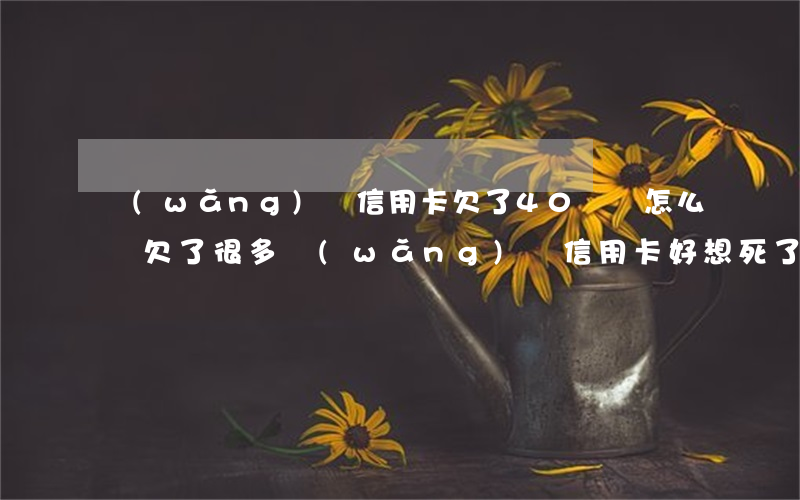 網(wǎng)貸信用卡欠了40幾萬怎么還(欠了很多網(wǎng)貸信用卡,好想死了)