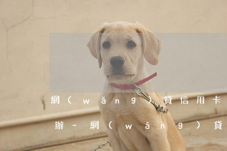 網(wǎng)貸信用卡欠了70多萬怎么辦-網(wǎng)貸信用卡欠了70多萬怎么辦呢