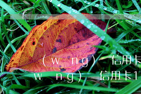 網(wǎng)貸信用卡欠了三十萬(欠網(wǎng)貸信用卡14萬想死)
