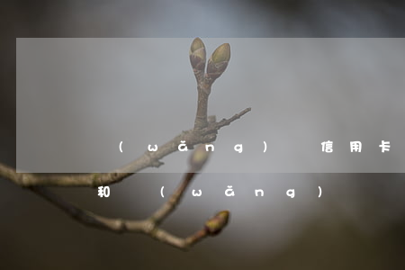 網(wǎng)貸信用卡欠五十萬(欠信用卡和網(wǎng)貸幾十萬無力償還)