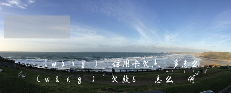 網(wǎng)貸信用卡欠六萬多怎么辦(網(wǎng)貸欠款6萬怎么辦啊)