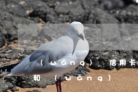 網(wǎng)貸信用卡欠十五萬(欠信用卡和網(wǎng)貸幾十萬無力償還)