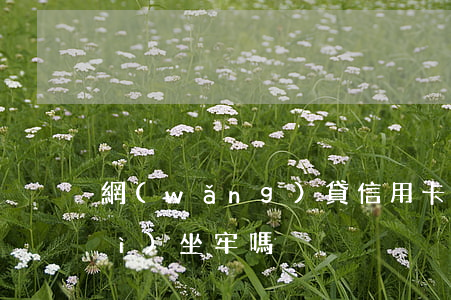 網(wǎng)貸信用卡欠四十萬會(huì)坐牢嗎