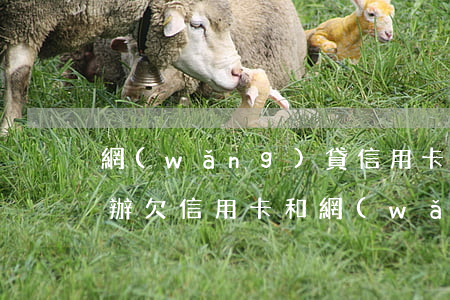 網(wǎng)貸信用卡欠多少還不上怎么辦(欠信用卡和網(wǎng)貸還不起怎么辦)