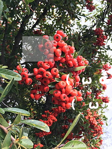 網(wǎng)貸信用卡欠幾十個(gè)萬(wàn)無(wú)力償還-