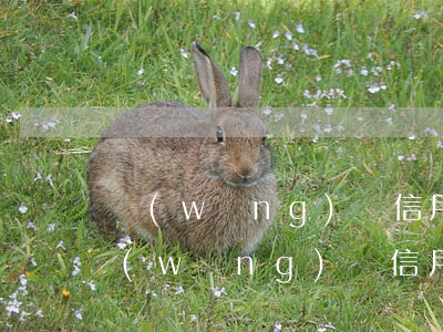 網(wǎng)貸信用卡欠幾十萬不要怕(網(wǎng)貸信用卡欠幾十萬不要怕)