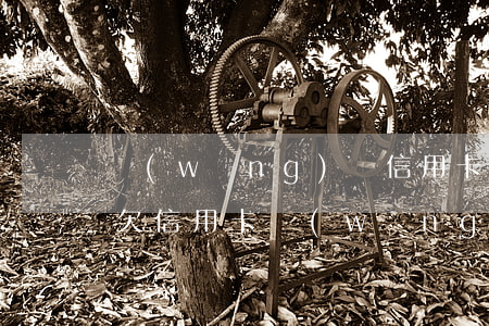 網(wǎng)貸信用卡欠款40幾萬逾期(欠信用卡網(wǎng)貸30萬)