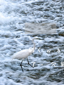 網(wǎng)貸信用卡欠款還不上不想活了-欠網(wǎng)貸信用卡還不了怎么辦