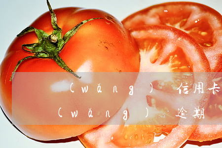 網(wǎng)貸信用卡貸款全部逾期-網(wǎng)貸逾期與信用卡逾期區(qū)別