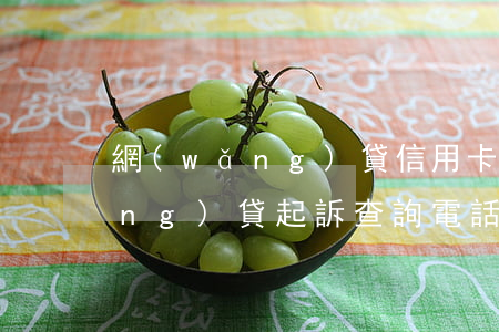 網(wǎng)貸信用卡起訴查詢(網(wǎng)貸起訴查詢電話)