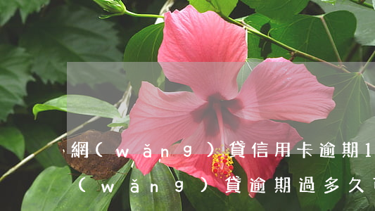 網(wǎng)貸信用卡逾期1年了(以前網(wǎng)貸逾期過多久可以申請信用卡)