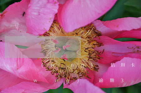 網(wǎng)貸信用卡逾期4個月了(網(wǎng)貸逾期3個月)