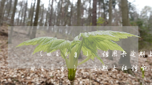 網(wǎng)貸信用卡逾期上征信-網(wǎng)貸逾期上征信能辦信用卡嗎