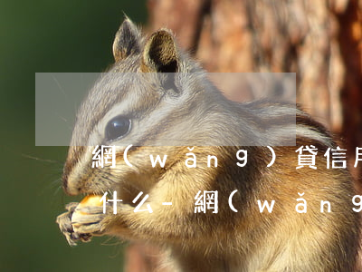 網(wǎng)貸信用卡逾期上門需要注意什么-網(wǎng)貸信用卡逾期上門需要注意什么問題