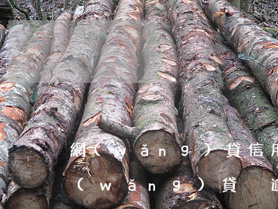網(wǎng)貸信用卡逾期不還的后果(網(wǎng)貸沒逾期影響信用卡嗎)