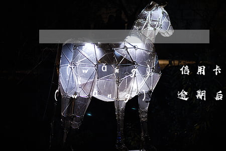 網(wǎng)貸信用卡逾期了怎么還款(網(wǎng)貸逾期后怎么還)