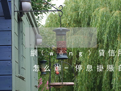 網(wǎng)貸信用卡逾期了暫時還不上怎么辦-停息掛賬自己怎么去申請