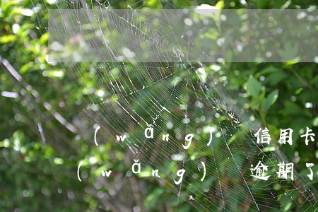 網(wǎng)貸信用卡逾期了能延緩嗎(網(wǎng)貸逾期了可以申請(qǐng)信用卡嗎)